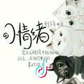 贫僧不戒师太☞ᯤ⁶ᴳ⁺