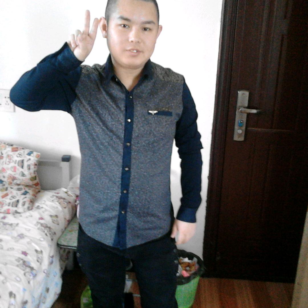 奋斗的小鸟