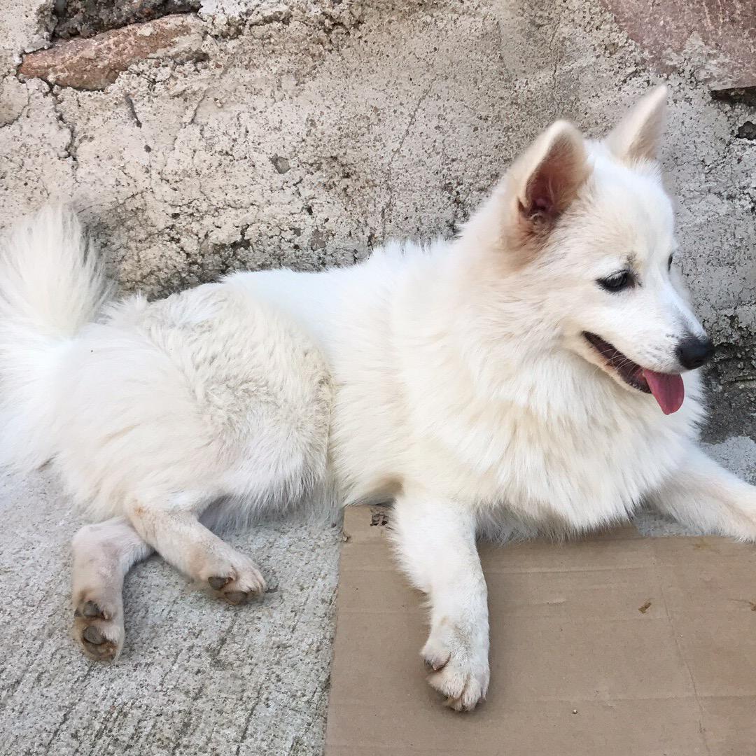 一只快乐的小青蛙🐸呱呱呱