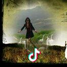 张三（蛋猪外婆）