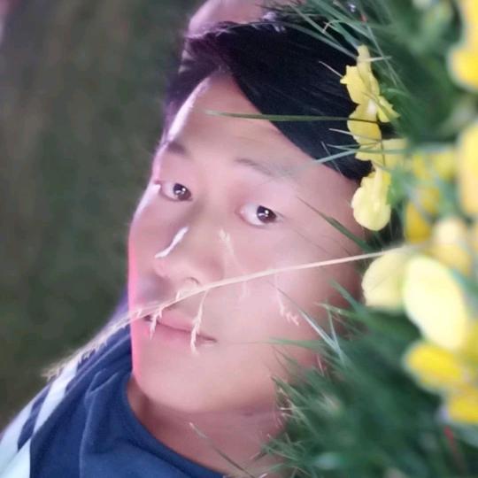 白嘲白闹白疯癫