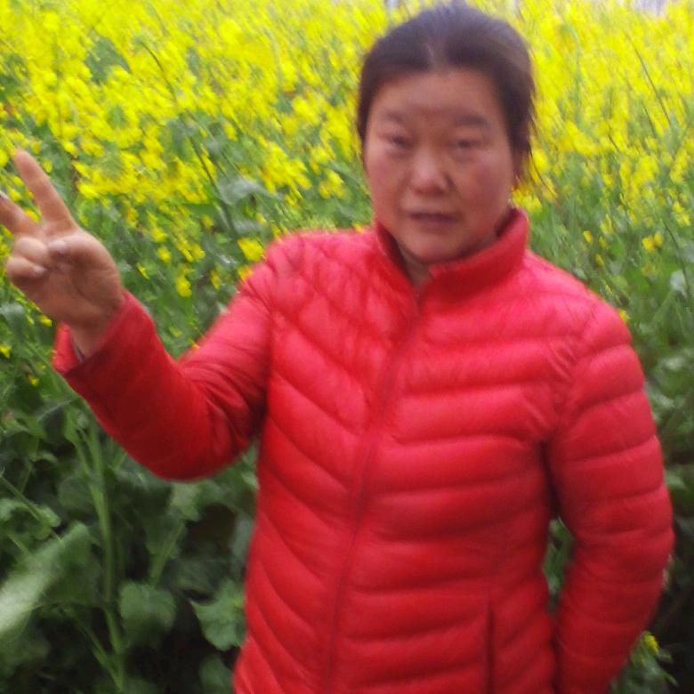 ✌ 双子 ✌