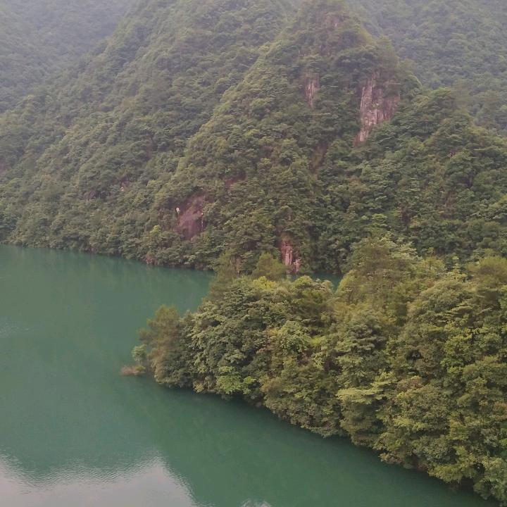 老排