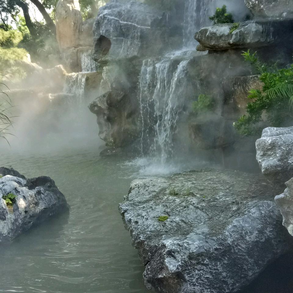 枫