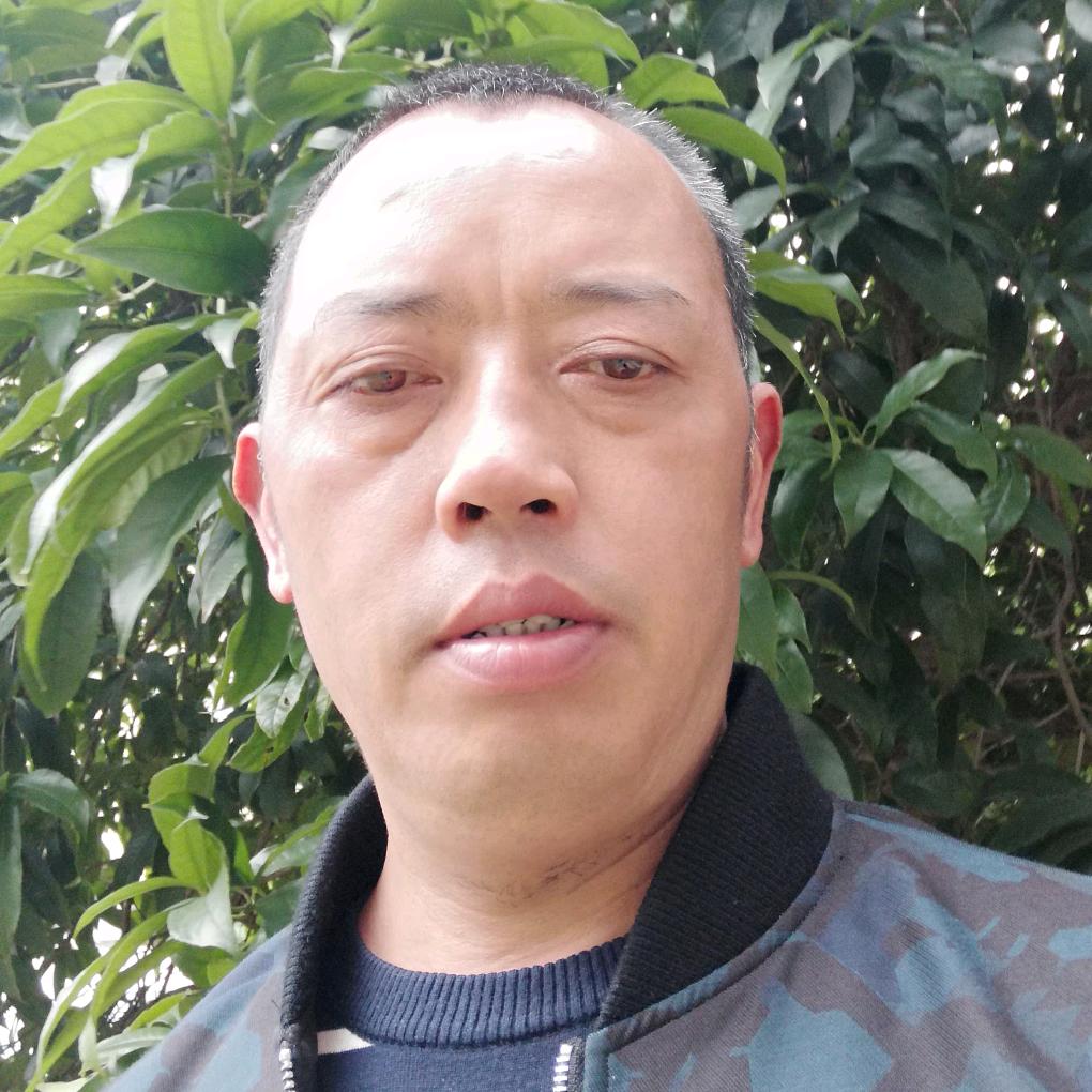平淡是真