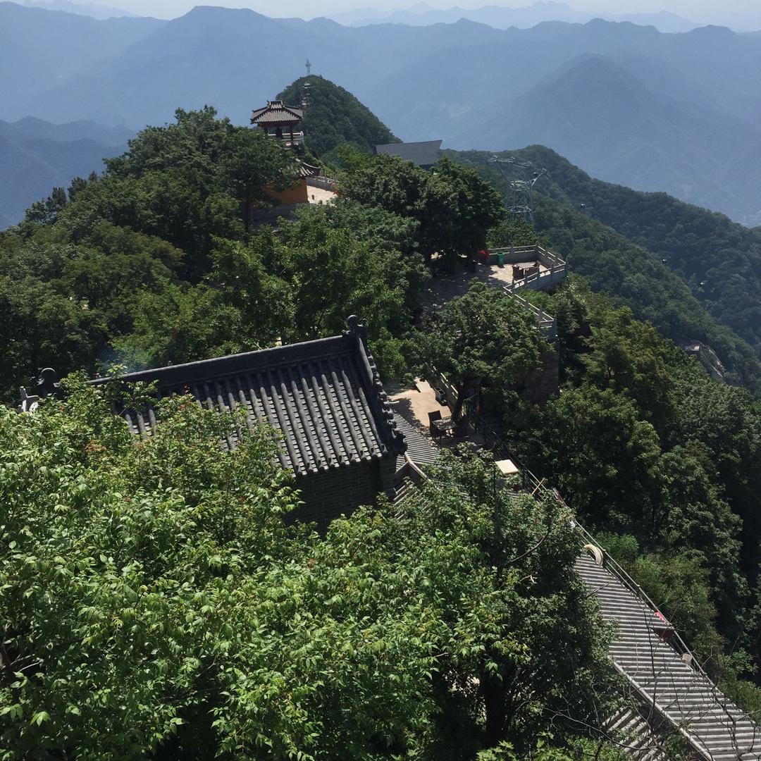 韶华如笋