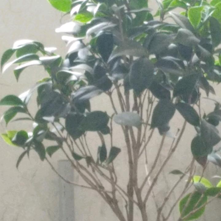 云悠纸品