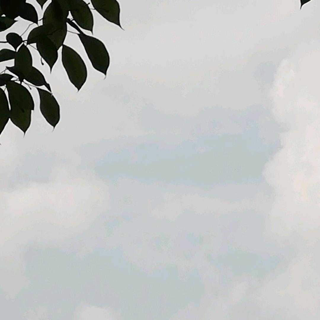 氢离子