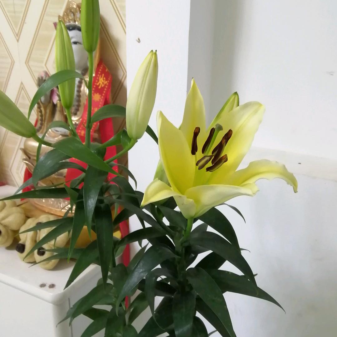 湘濡以沫