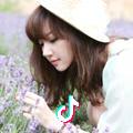 百HUA花