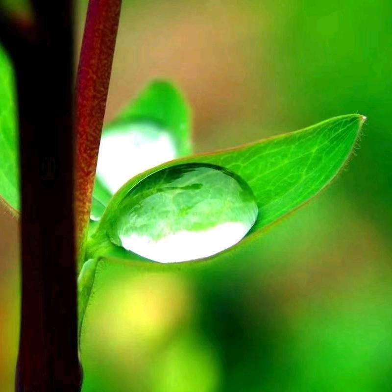 七十五度半的咖啡