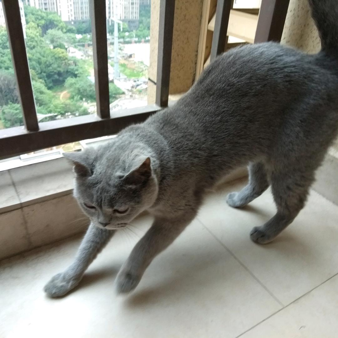 奇怪