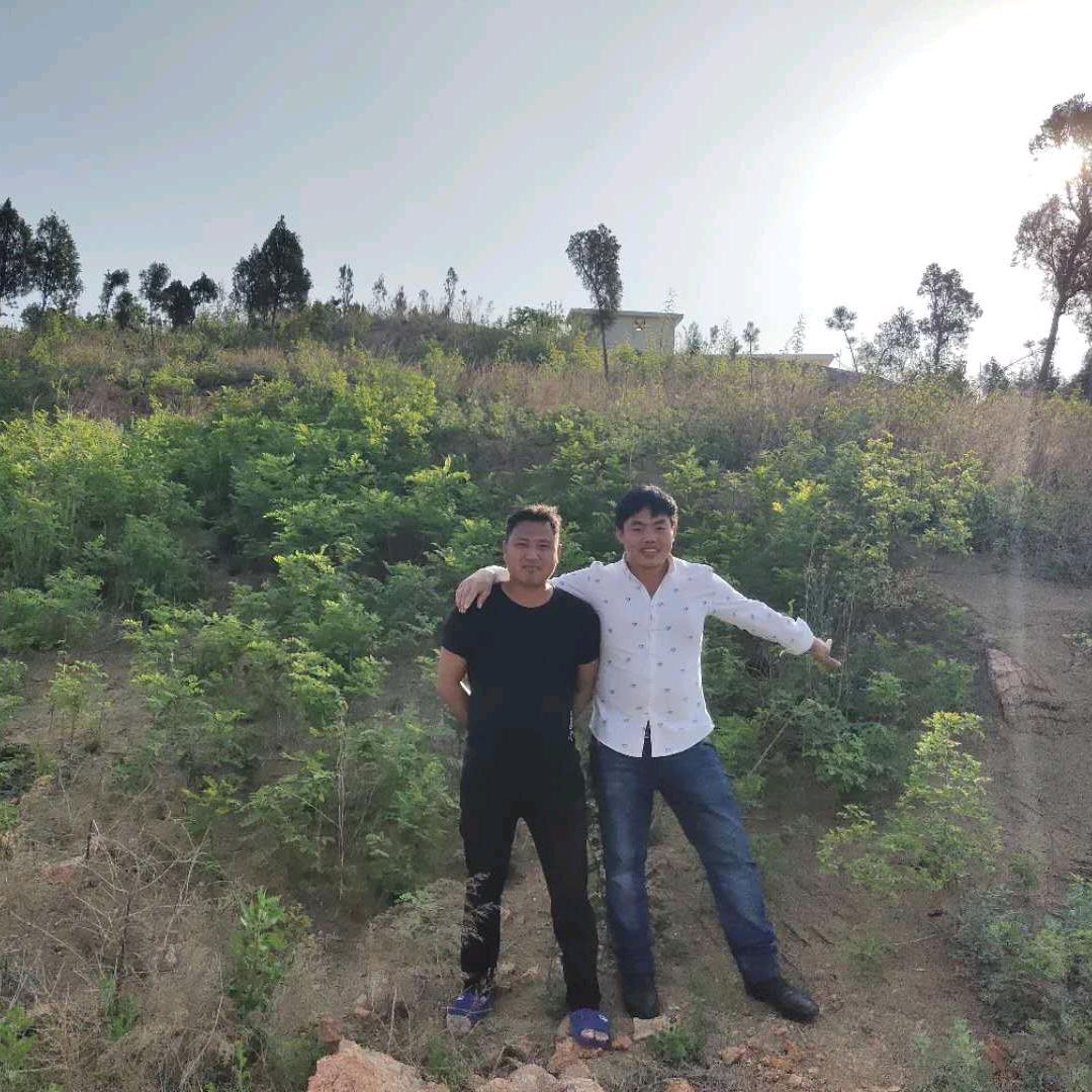 爱情小丑