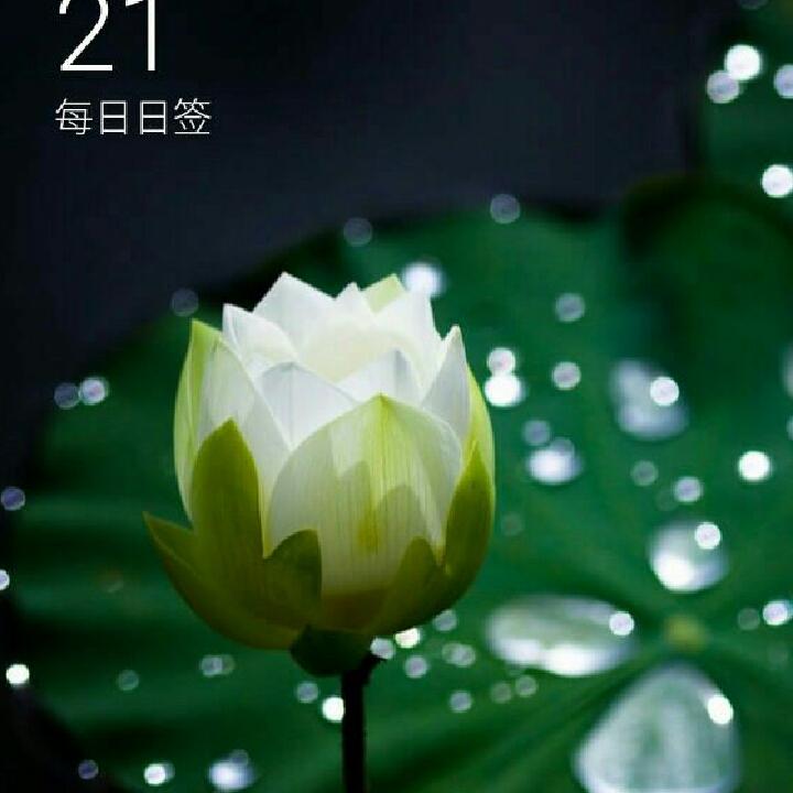石姐