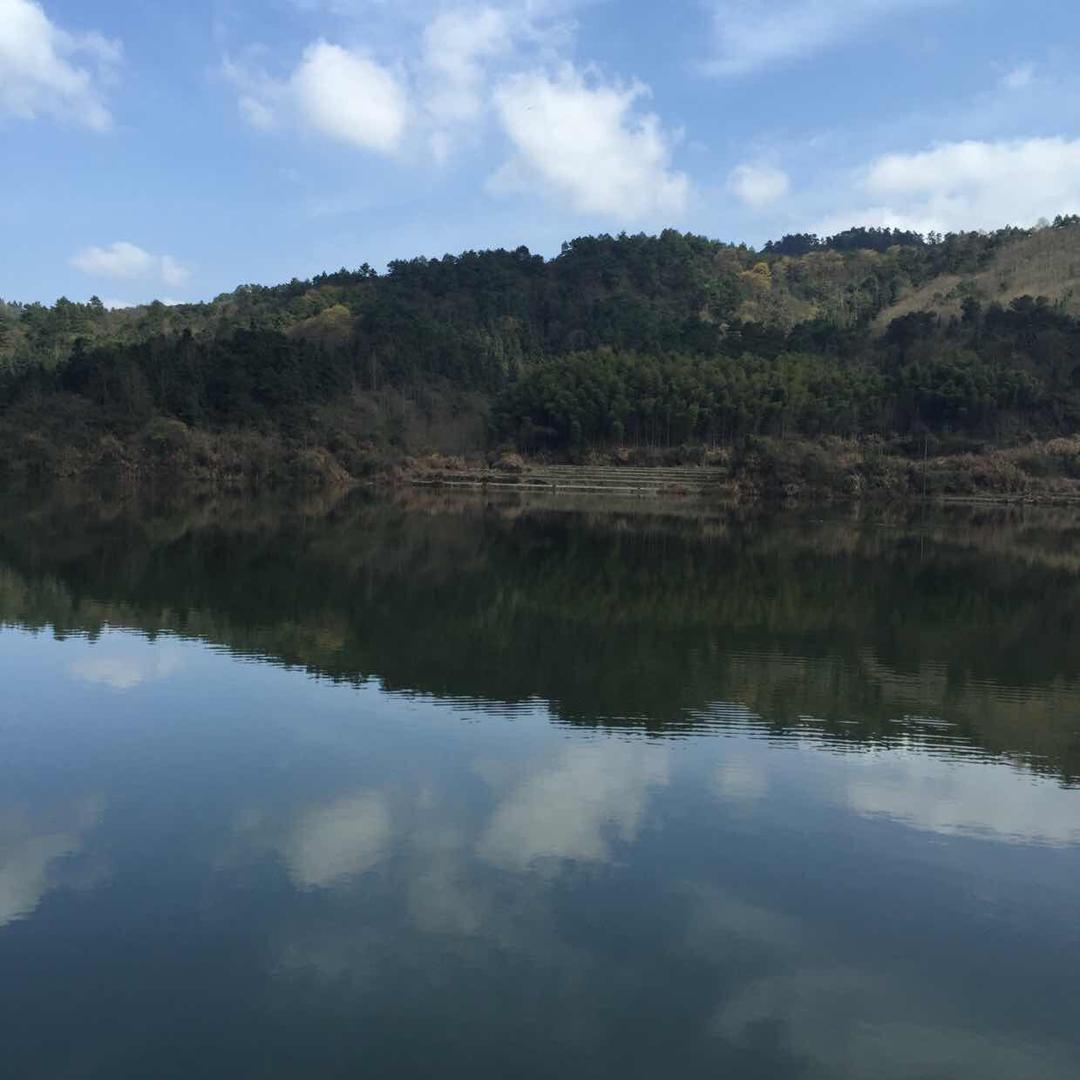 怕拉没拉