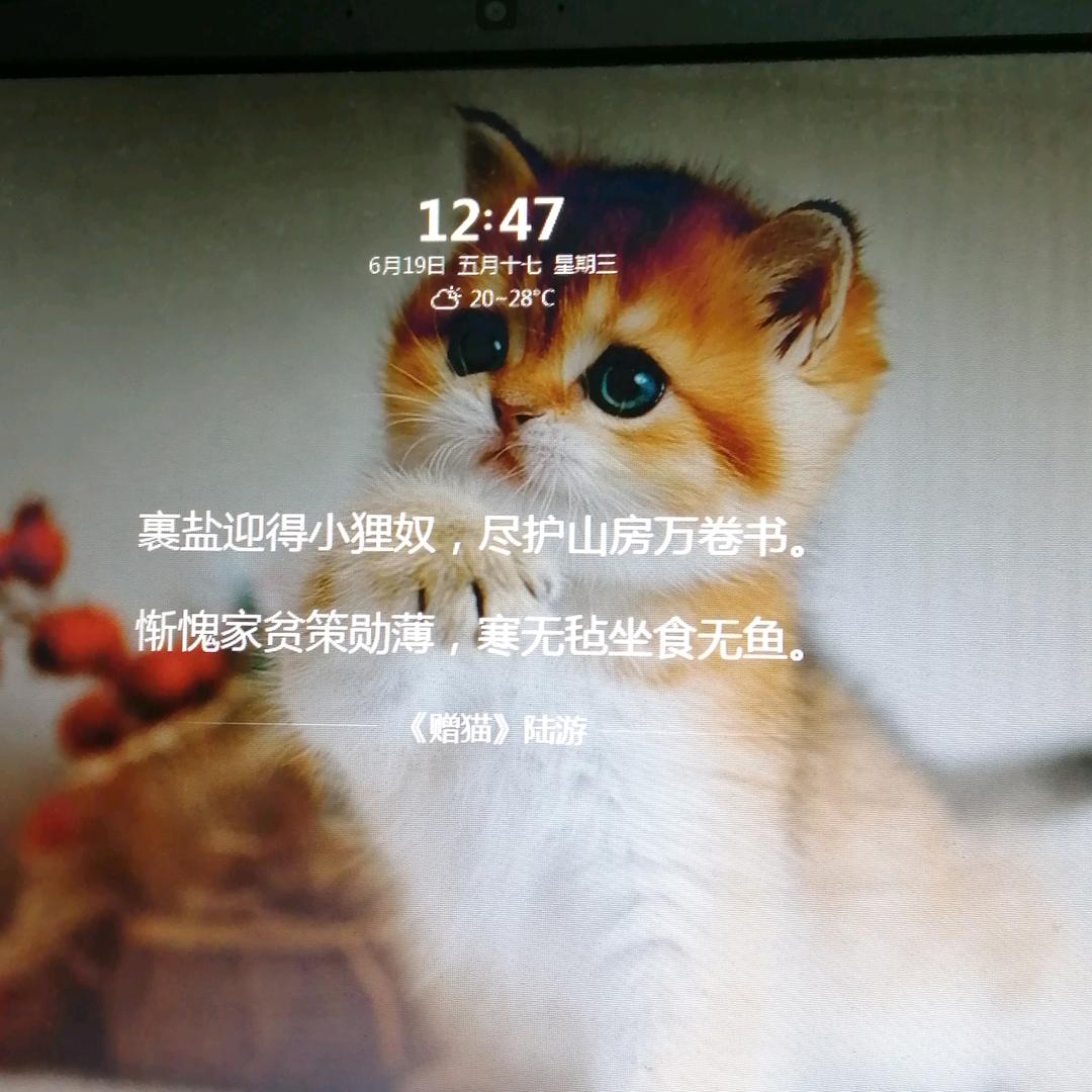 四季如春