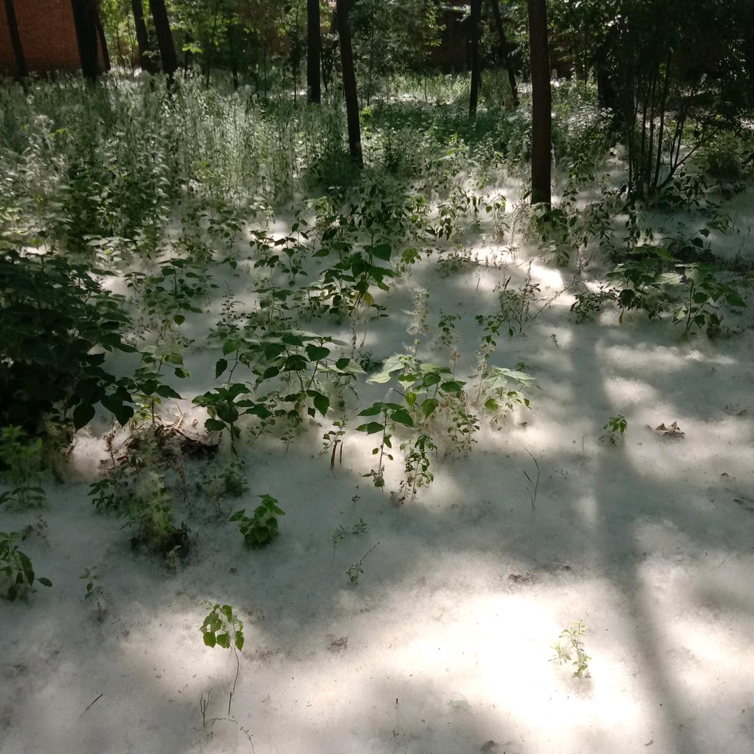 风雨无阻