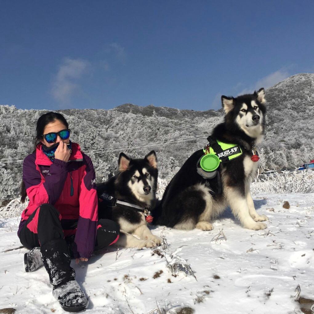 两只狼麻麻