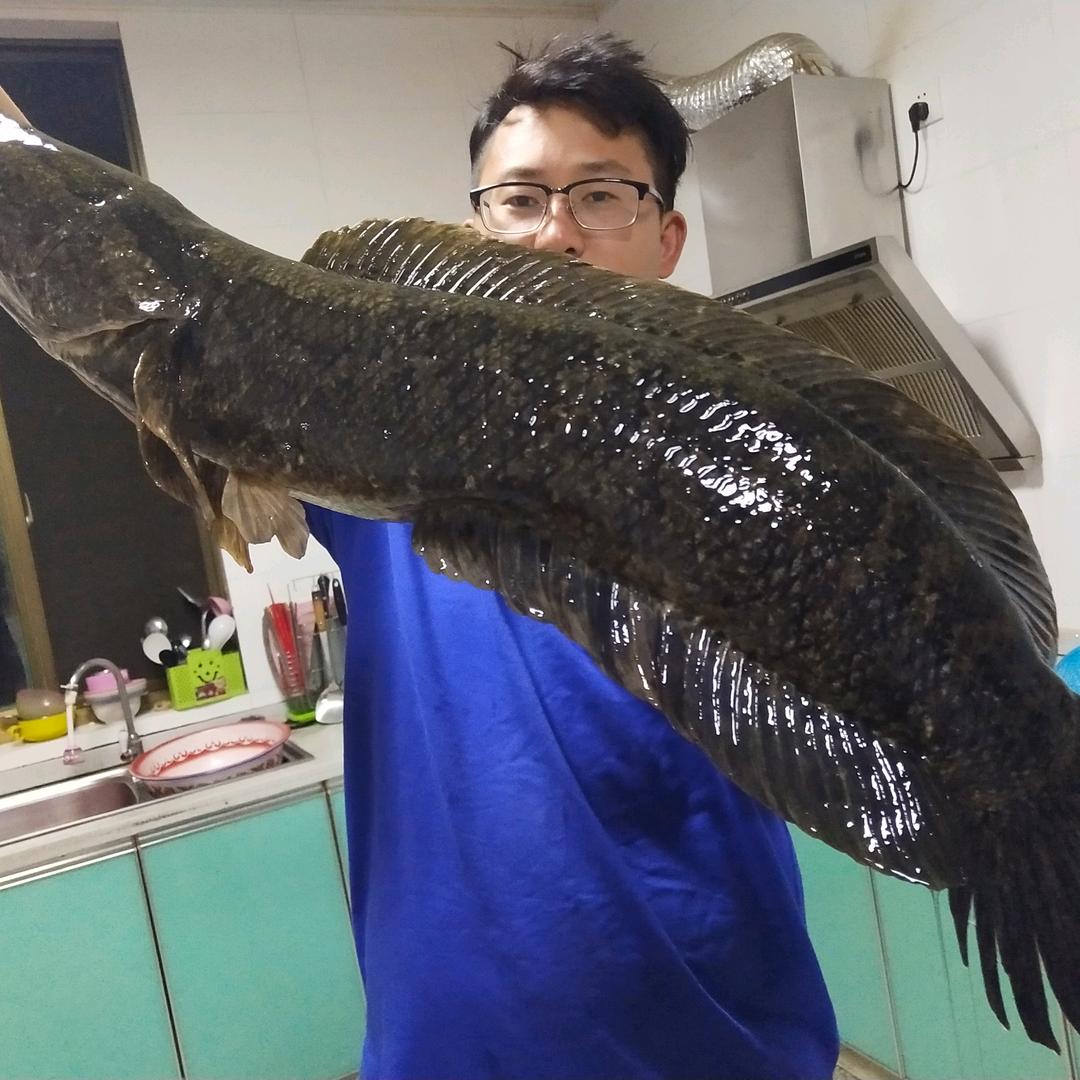 熠曦