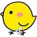 🐣🎉细粒鸡🎉🐣
