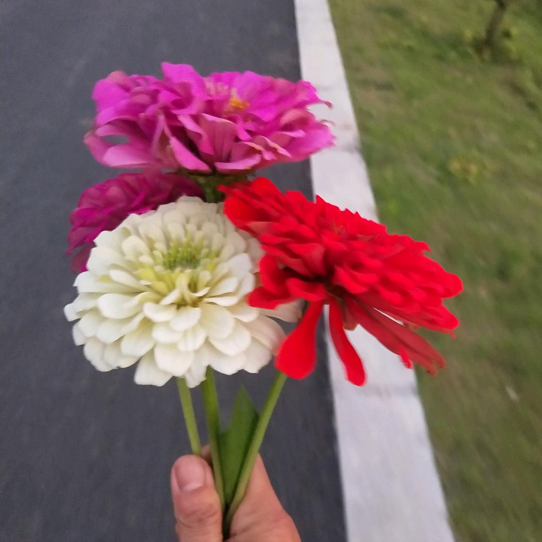 满好