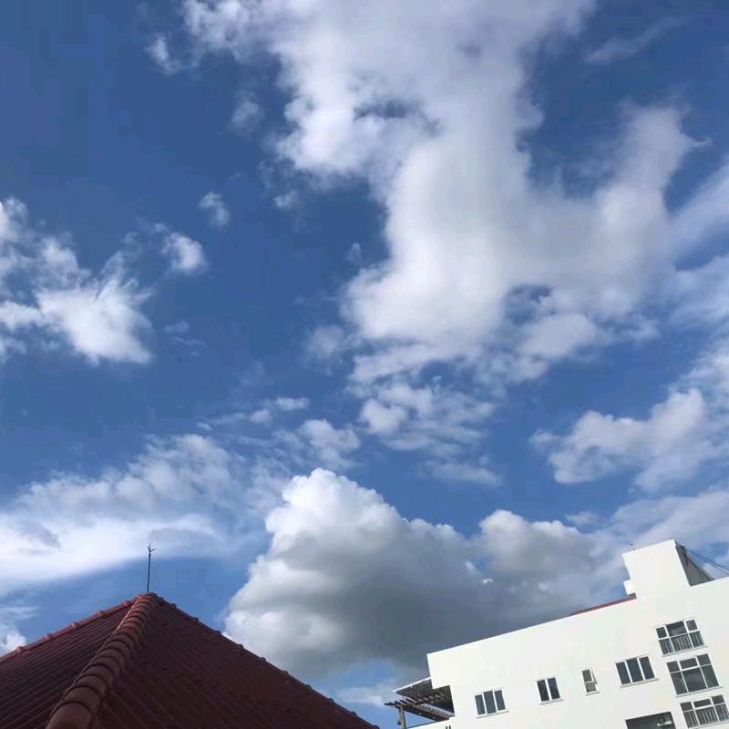 西藏天天