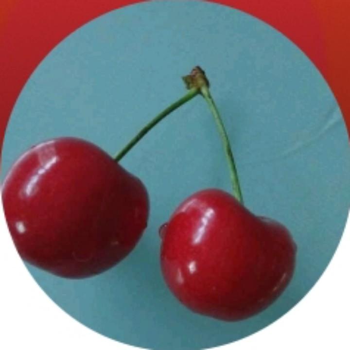 樱桃小丸子