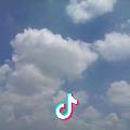 静