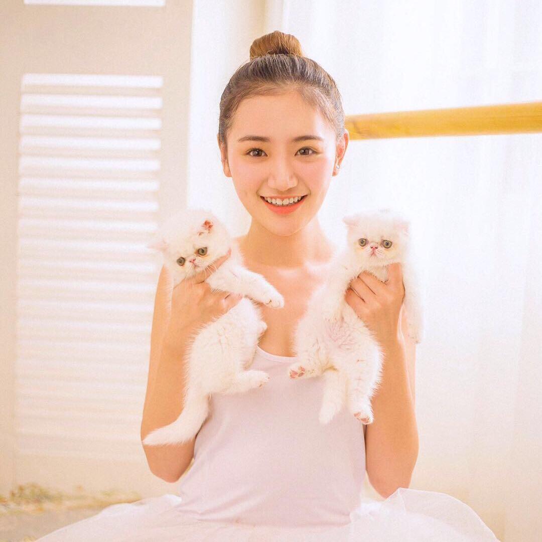 是狐狸啦