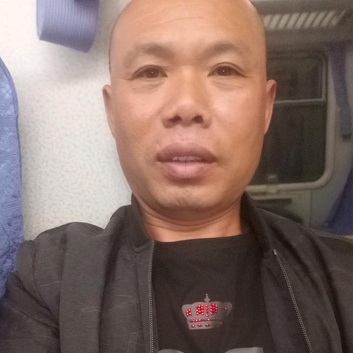 会飞的鱼