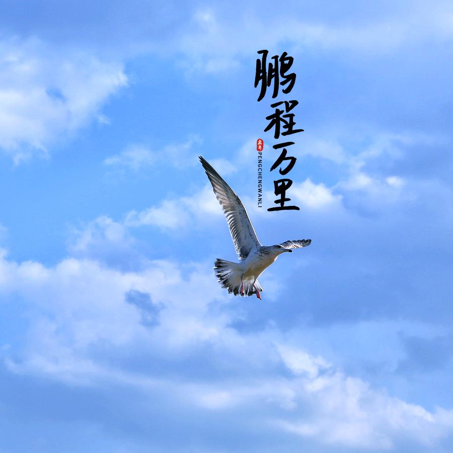 越哥