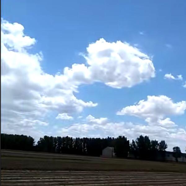 听雨