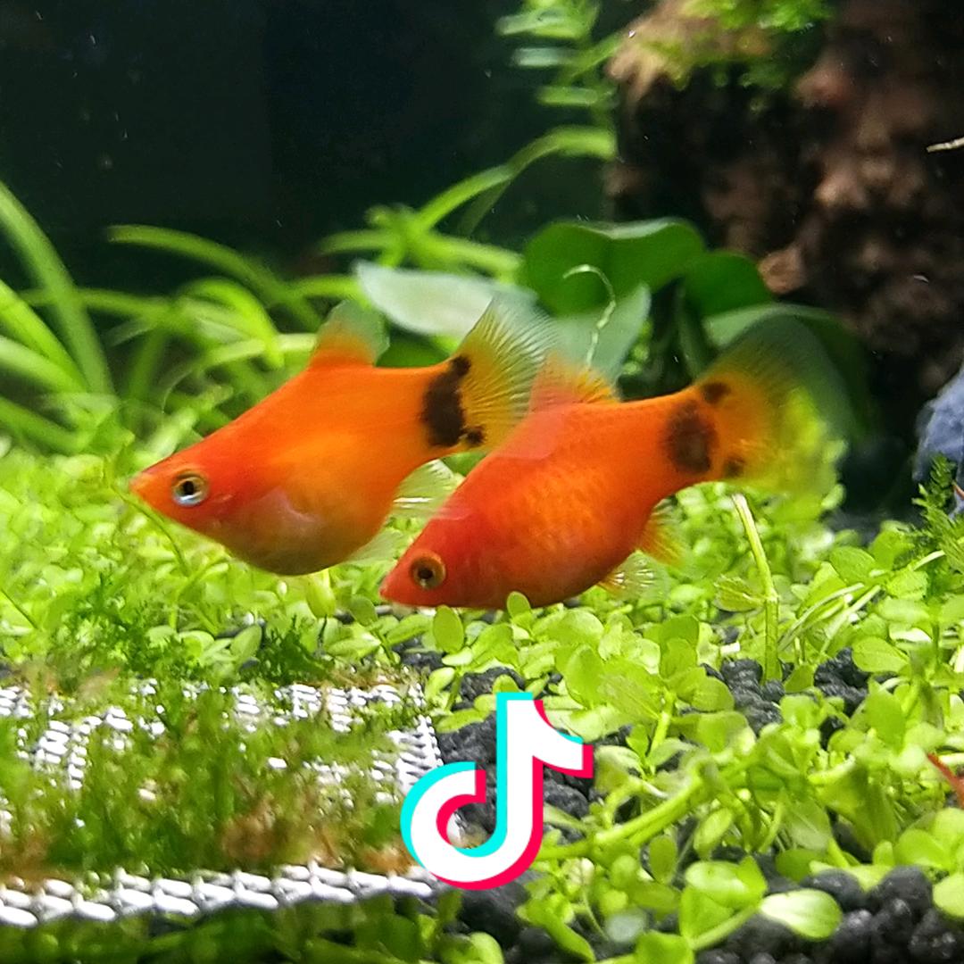 一如既往你叫啥