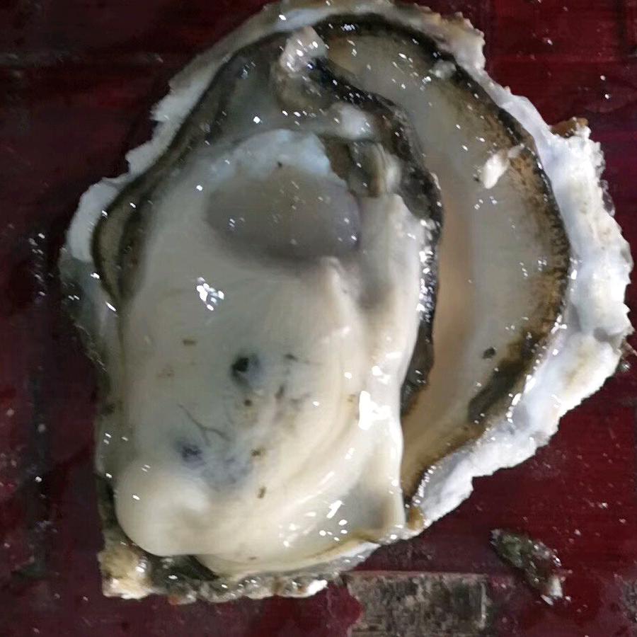 霖可可撸鸦