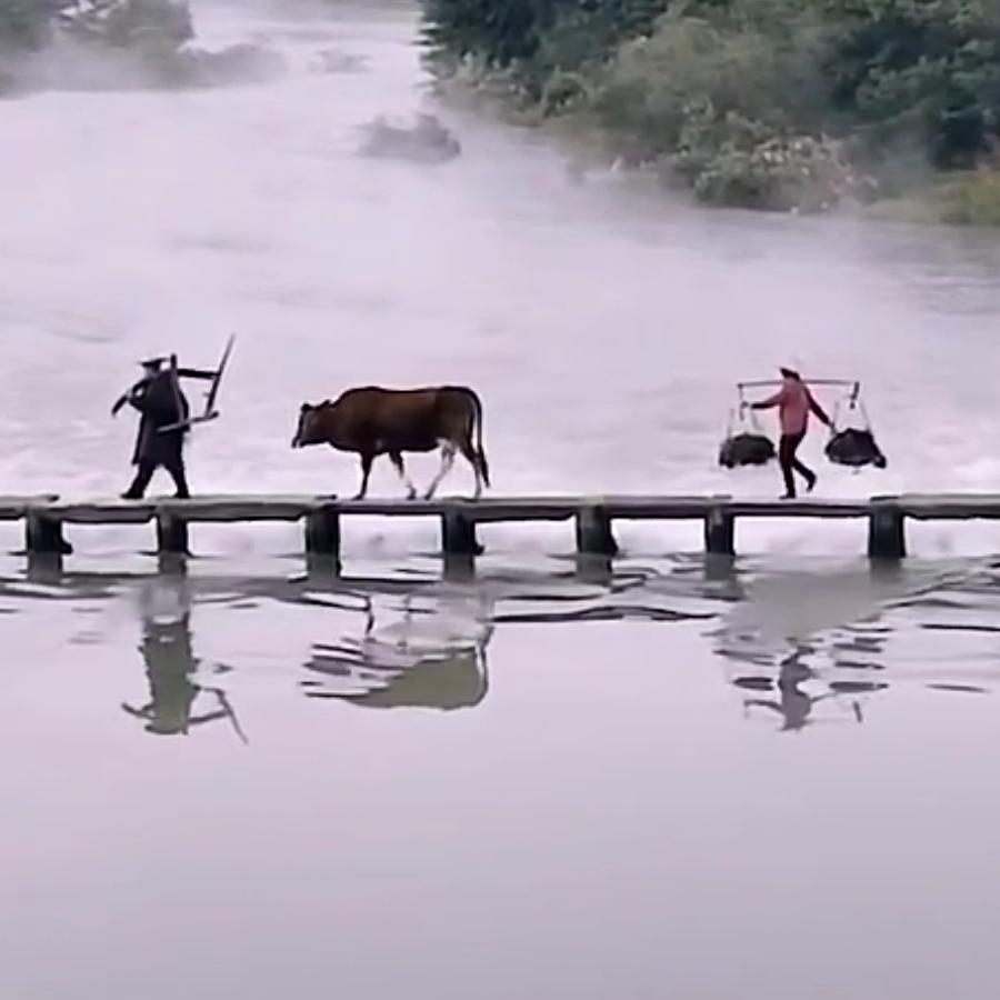 a平哥，《橱窗有好物》