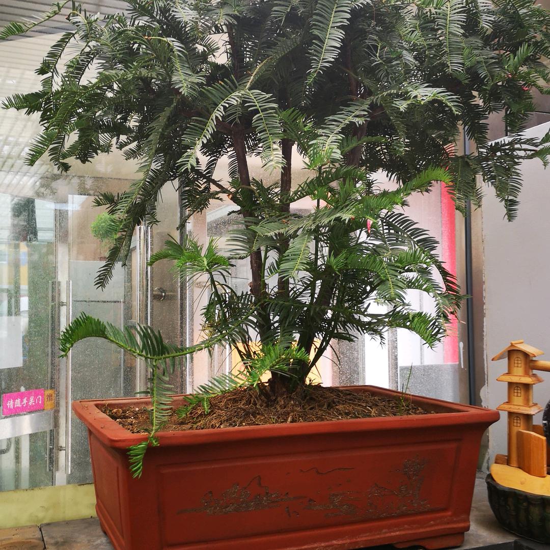 实在就好