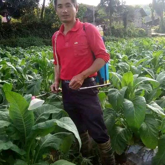 知足常乐