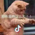 🐾垨護🐾
