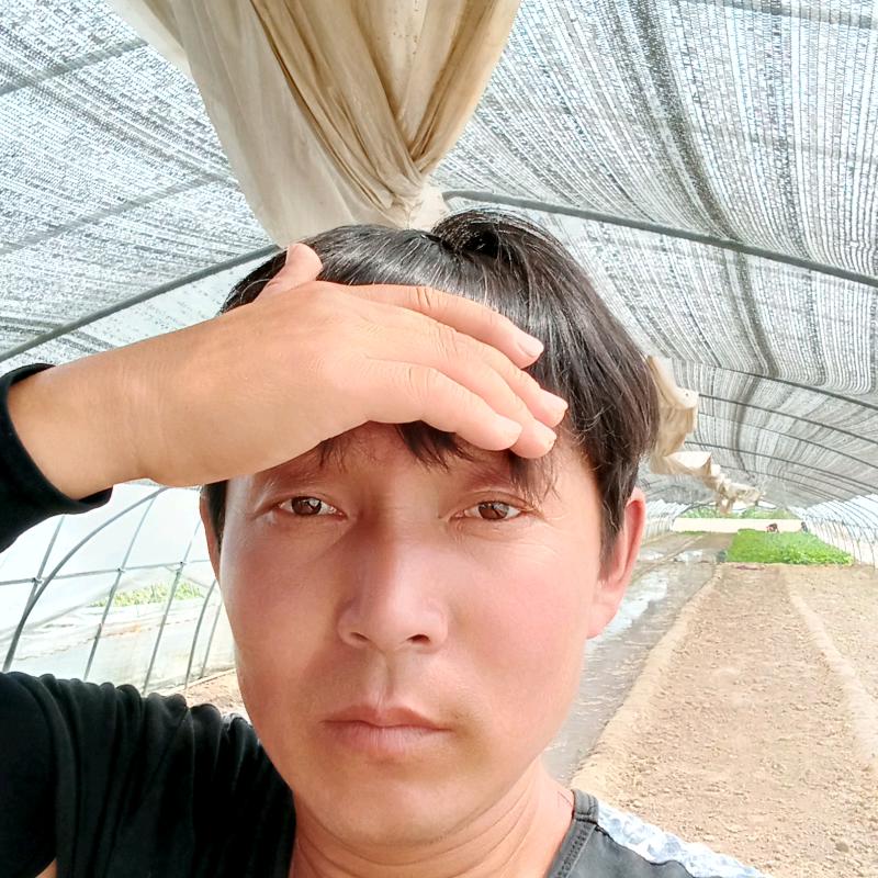 王刘农场