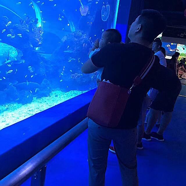 专业各类电扶梯销售/安装/维保一条龙服务