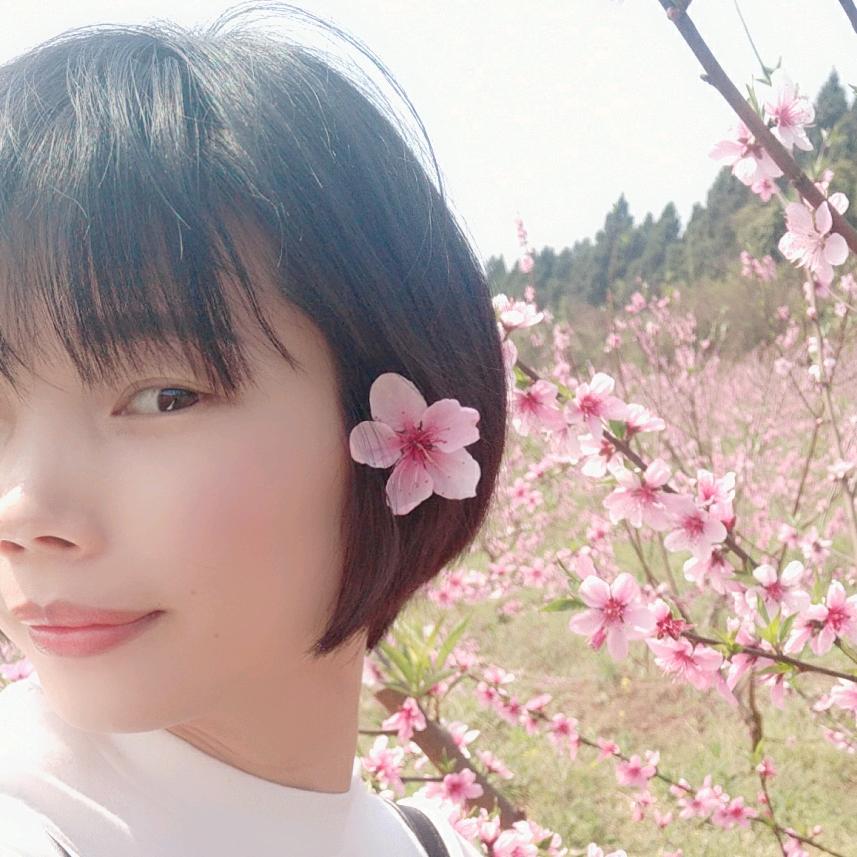 红梅