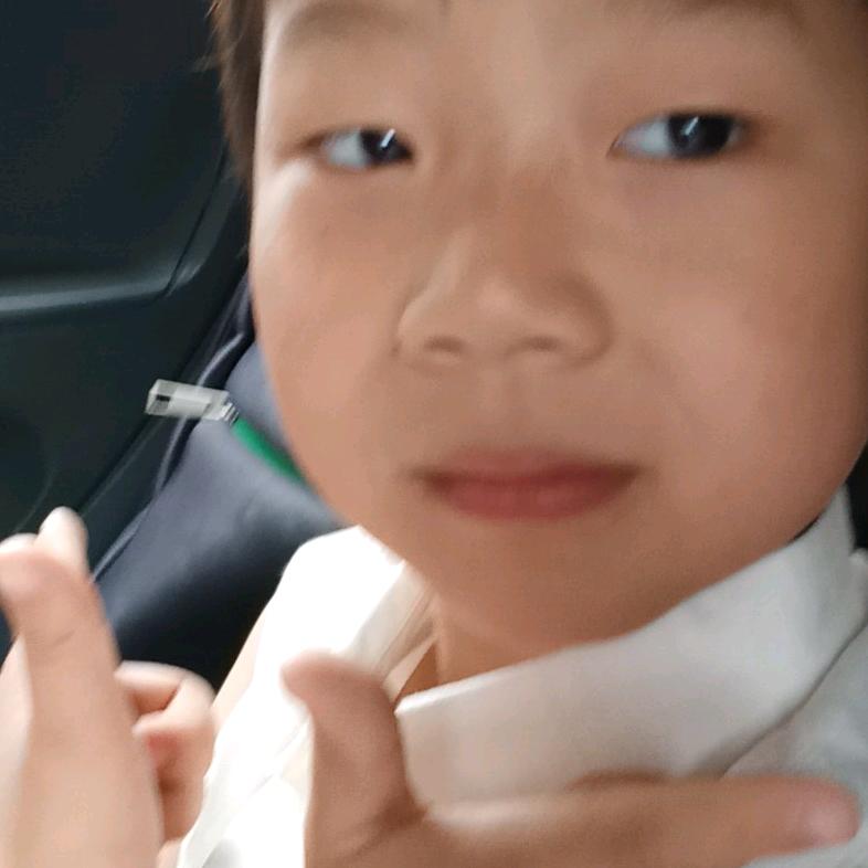 侠