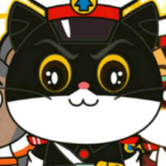 猫黑不是黑猫