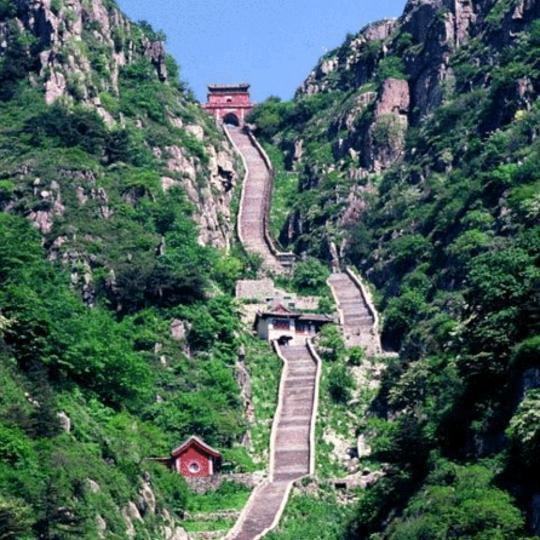 泰山老哥