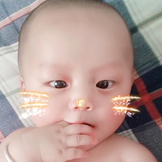 苛可