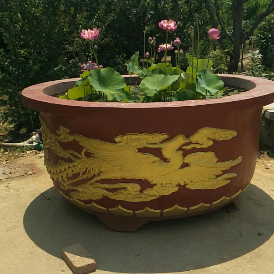 心无尘