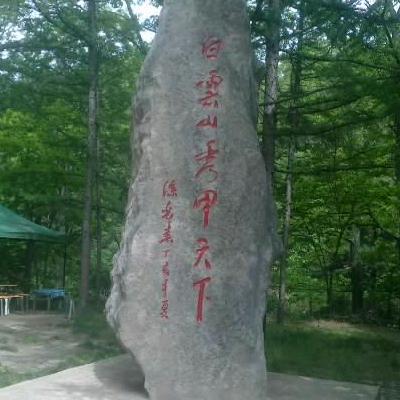 仰望星空的娟子