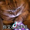 听不见的风声
