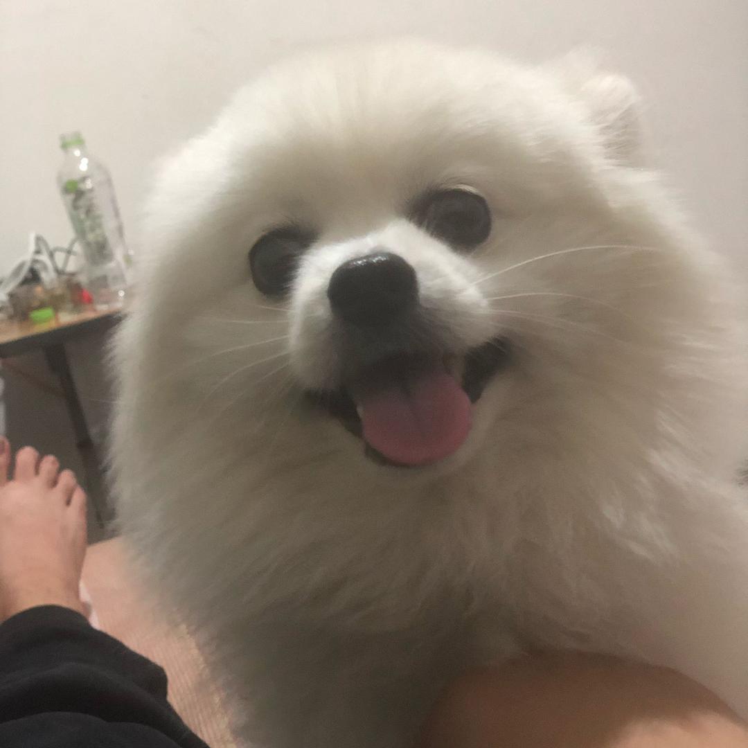 小王睡不醒