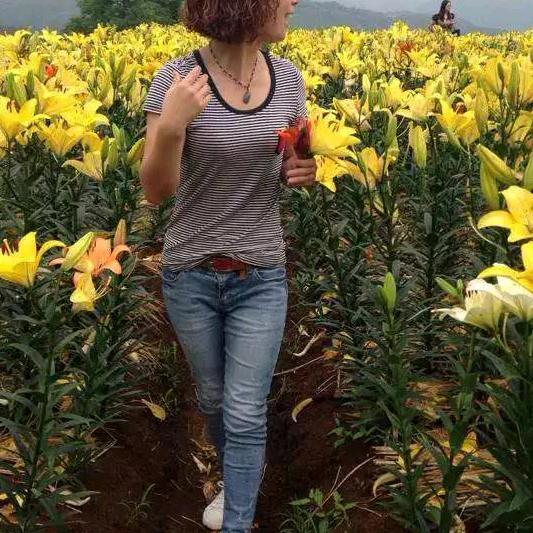 小叶（感谢点赞与关注）🌹🌹🌹